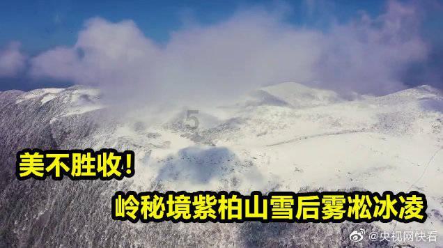 有很多大宝特别抵触二宝的到来，这是什么原因导致的？